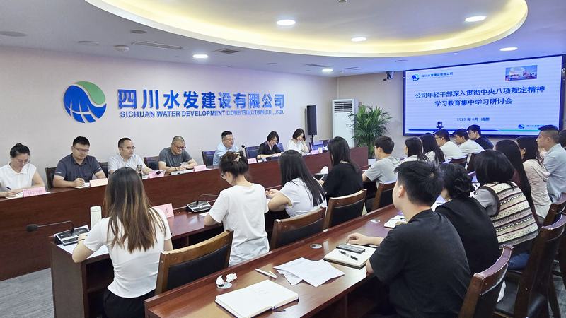 公司團委召開(kāi)年輕干部集中學(xué)習研討會(huì )